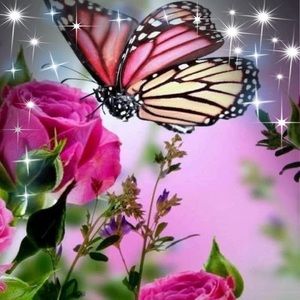 Meet your Posher, Mayra